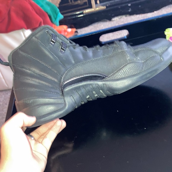 Air Jordan 12s (winterized) - Picture 3 of 6